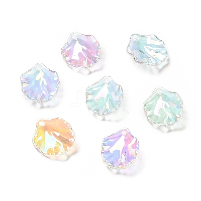 Transparent Acrylic Pendants X-MACR-C009-06-1