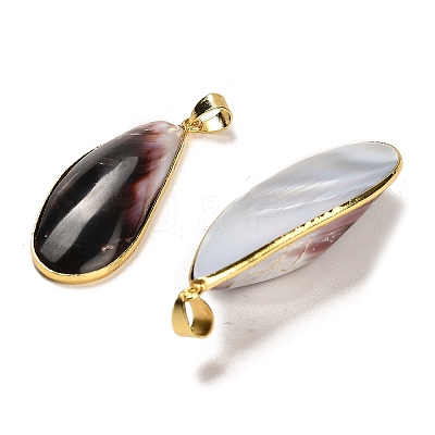 Natural Shell Pendants SHEL-D080-01G-1