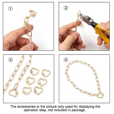 Brass Screw Carabiner Lock Charms KK-T047-04G-1