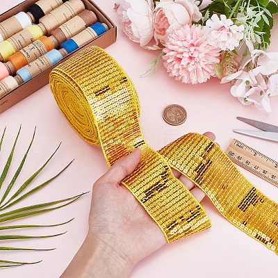 8.85~9M Polyester Sequin Trim OCOR-HY0001-25A-1