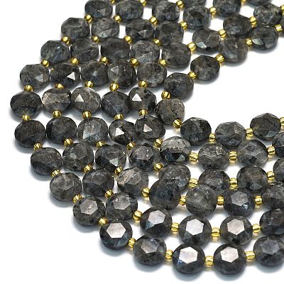 Natural Larvikite Beads Strands G-C116-A155-01-1