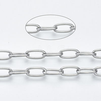 Non-Tarnish 3.28 Feet 304 Stainless Steel Paperclip Chains X-CHS-S001-06A-P-1