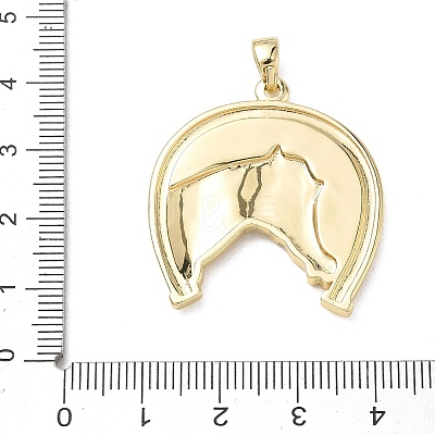 Brass Pendants KK-D289-27B-G-1