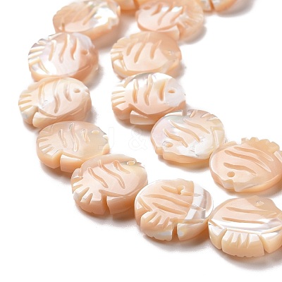 Natural Trochid Shell Beads Strands SSHEL-G023-16A-1