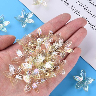 Transparent Acrylic Beads MACR-S373-102-C06-1