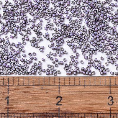 MIYUKI Delica Beads X-SEED-J020-DB1065-1