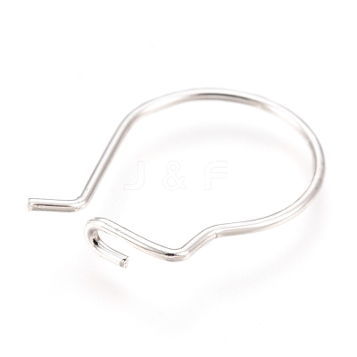304 Stainless Steel Hoop Earrings Findings STAS-H436-02S-1