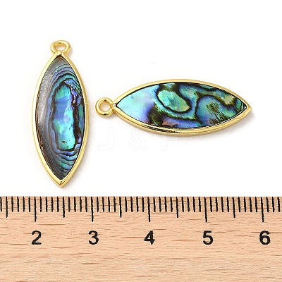 Natural Paua Shell Pendants KK-E059-13G-1