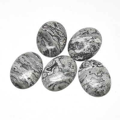 Natural Black Silk Stone/Netstone Cabochons G-R004-15A-1