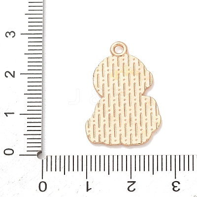 Alloy with Enamel Pendants AL-CBA9CD2-01C-1
