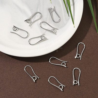 SHEGRACE Brass Earring Hooks XGR0003P-42P-1