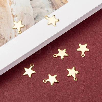 304 Stainless Steel Charms STAS-G190-27G-B-1