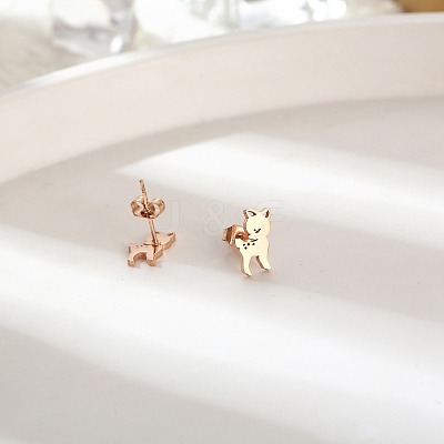 304 Stainless Steel Stud Earrings for Women DL2638-3-1