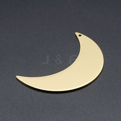 201 Stainless Steel Pendants STAS-R111-LA204-1
