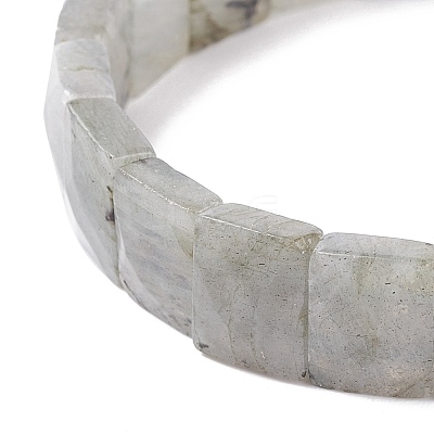Natural Labradorite Stretch Bracelets BJEW-F406-B19-1