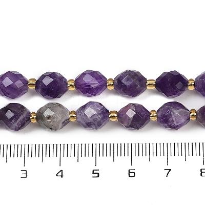 Natural Amethyst Beads Strands G-N342-149G-1