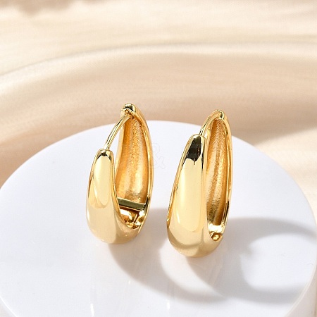 Oval Brass Hoop Earrings EJEW-Z086-08G-1