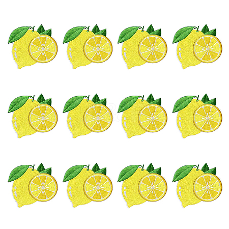 12Pcs Computerized Embroidery Polyester Iron on/Sew on Patches DIY-MA0007-24-1