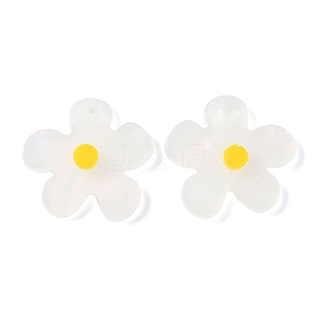 Opaque Acrylic Pendants FIND-K024-02B-1