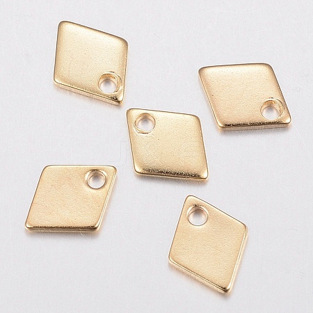304 Stainless Steel Charms STAS-H436-53-1