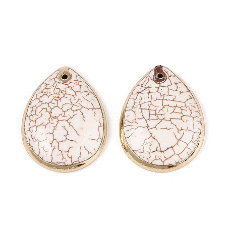 Dyed Synthetic Turquoise Teardrop Pendants TURQ-T004-28-1