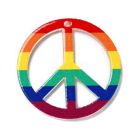 Rainbow Color Printed Acrylic Pendants OACR-B006-01B-1