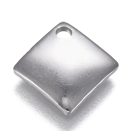 304 Stainless Steel Charms STAS-I166-01P-1