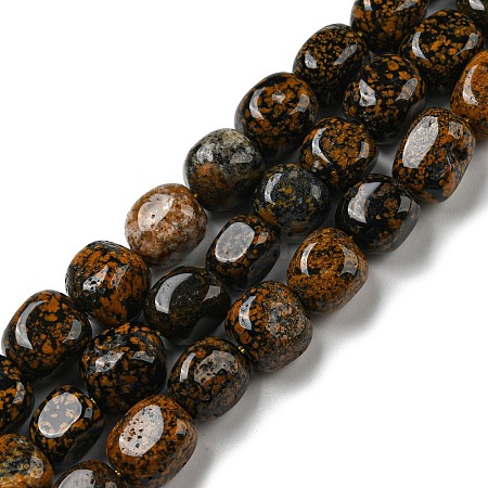 Natural Dalmatian Jasper Beads Strands G-C038-02A-04-1