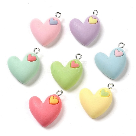 Opaque Resin Pendants RESI-A028-02-1