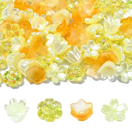 DIY Flower Plastic & Acrylic Beads Jewelry Making Finding Kit DIY-YW0008-78E-1