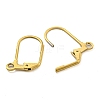 Ion Plating(IP) 304 Stainless Steel Leverback Earring Findings STAS-P360-02B-G-2