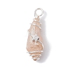 Electroplated Natural Quartz Crystal Dyed Copper Wire Wrapped Pendants PALLOY-JF02327-07-3