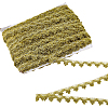 Nylon & Gold Metallic Lace Trim OCOR-WH0070-225A-1