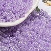 Ceylon Glass Seed Beads SEED-K009-02B-30-1