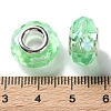 Shell Transparent Brass Cores Acrylic European Beads OACR-M024-08S-03-3