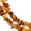 Natural Amber Chip Beads Strands G-E271-81-01-3