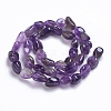 Natural Amethyst Beads Strands G-G841-A02-2