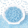 Transparent Colours Luster Glass Seed Beads SEED-N008-09B-2