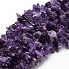 Natural Amethyst Chip Beads Strands X-G-E271-11-1