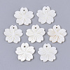 Freshwater Shell Pendants SHEL-N026-03-1
