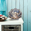 Shell Shape Wooden Jewelry Display Cases with Visible Window ODIS-SP0001-14B-7