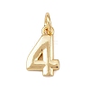 Brass Charms KK-G544-10G-04-1