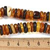 Natural Amber Beads Strands G-K387-C01-02-5