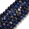 Natural South Africa Sodalite Beads Strands G-S259-35-6mm-2