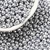 6/0 Glass Seed Beads SEED-L011-08A-12-1