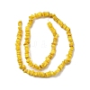 Natural Freshwater Shell Beads SHEL-B003-01A-2