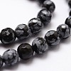 Natural Snowflake Obsidian Beads Strands G-G736-06-4mm-3