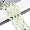 Natural Prehnite Beads Strands G-T142-82-1