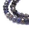 Natural Iolite Beads Strands G-E569-H13-3