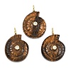 Natural Tiger Eye Pendants G-H353-02G-10-1